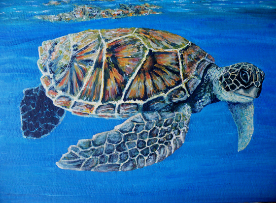 Kemps Ridley Turtle, Acrylic on Canvas
