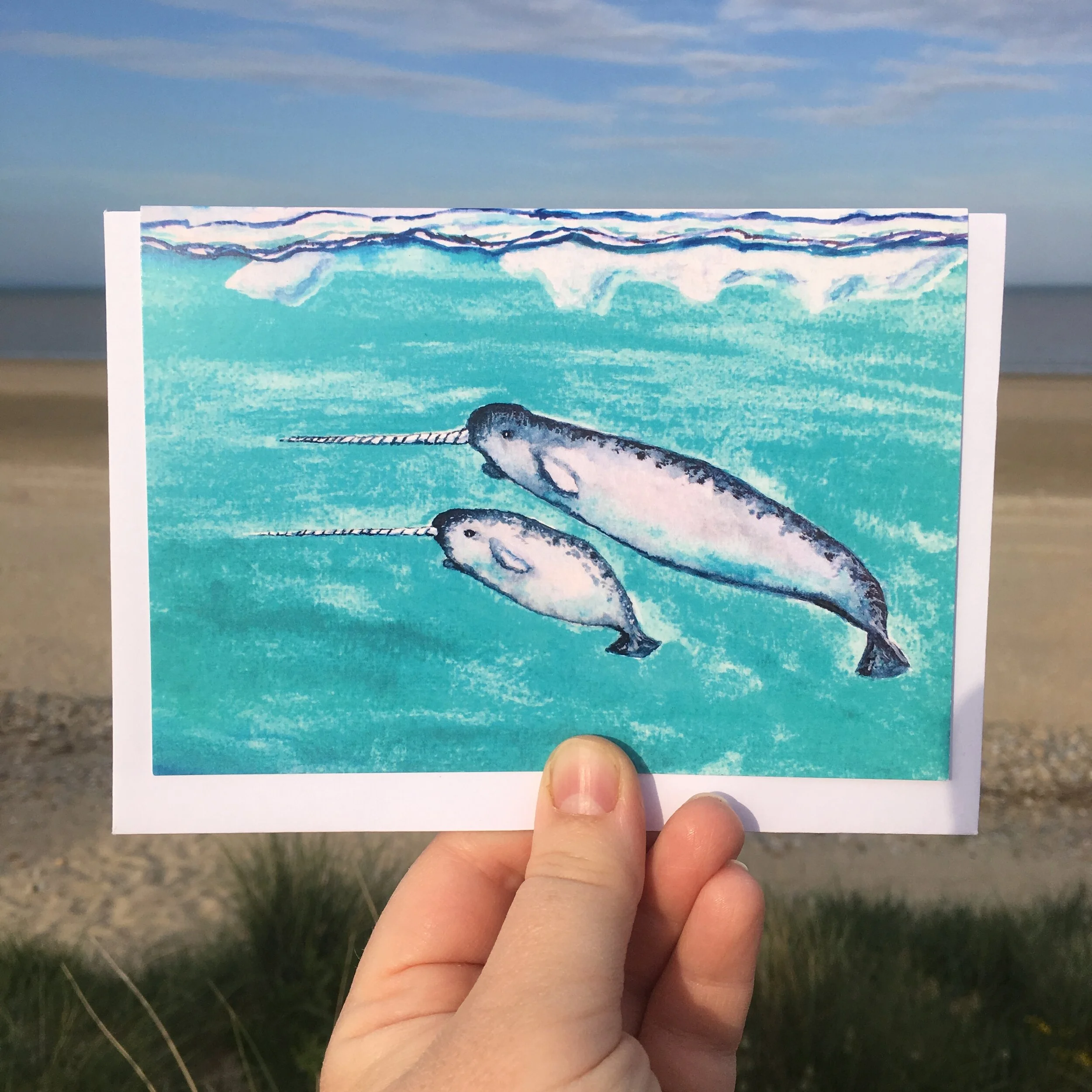 Frozen Shores Marine Life - Pack of 4 Art Greetings Cards, Beach Cards, Wildlife Cards, Sealife Cards, Christmas Card, Surf Gift