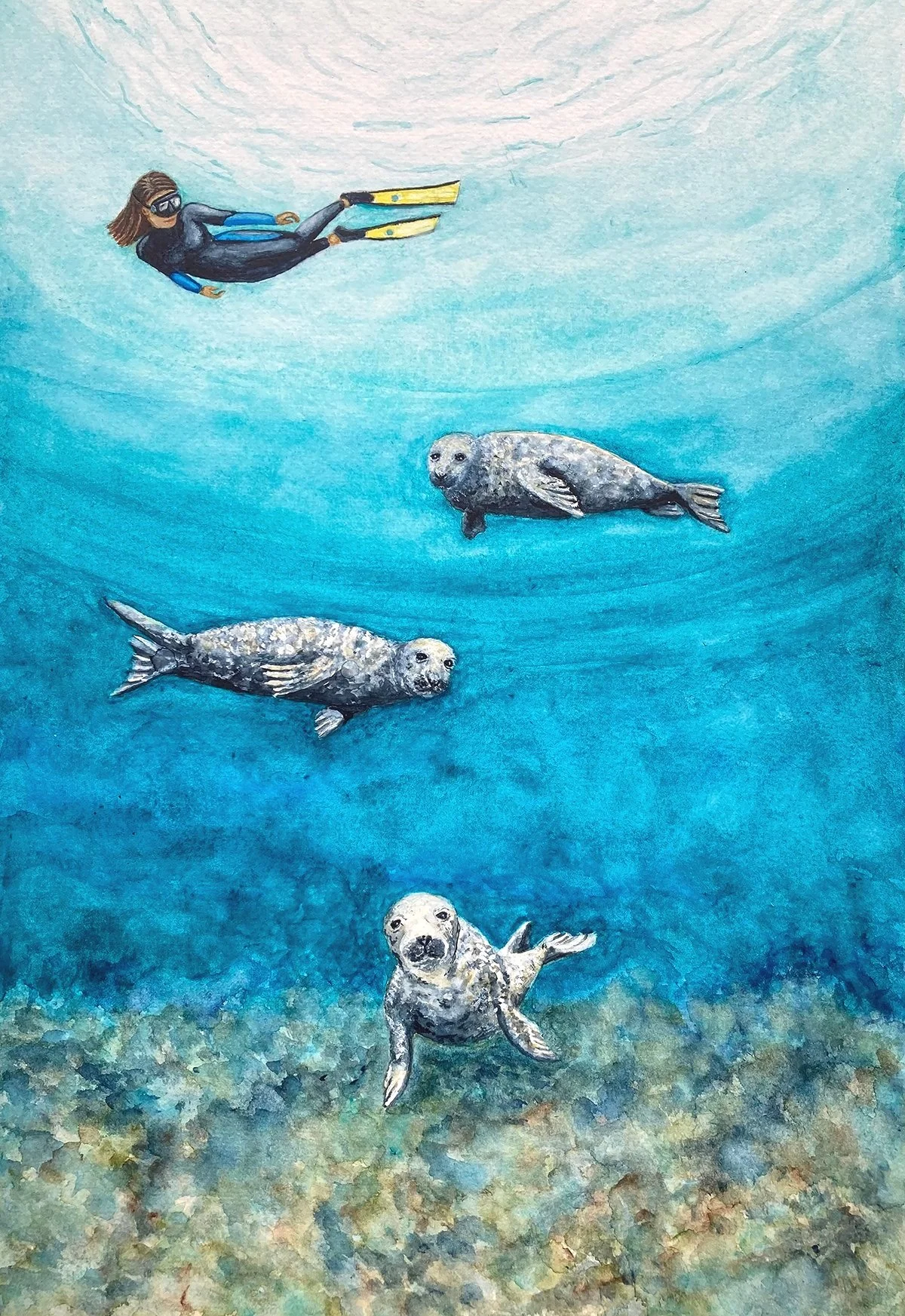 Our Shores, Grey Seals by Joy Clifton, Grey Seals Print, Seascape Print, Underwater Print