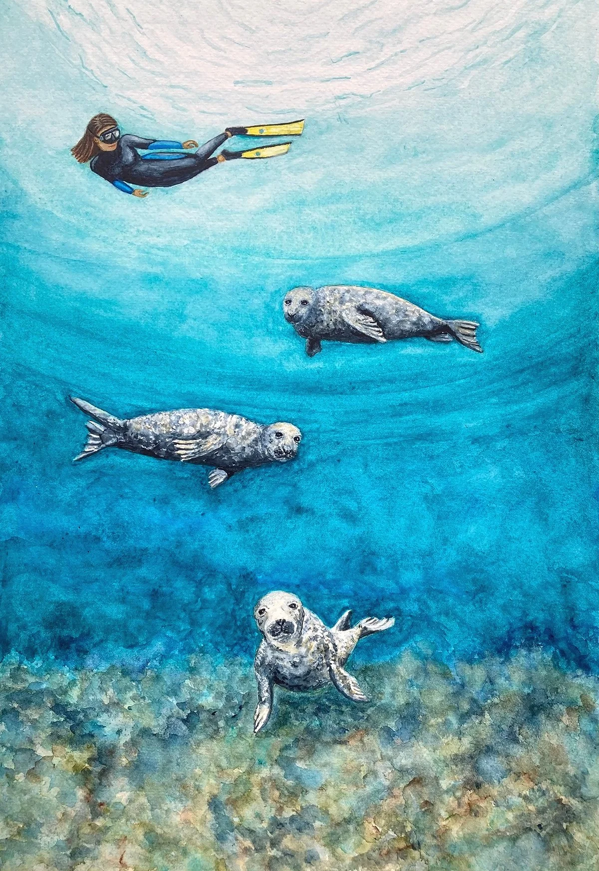 Our Shores, Grey Seals by Joy Clifton, Seal Painting, Ocean Art, Diving Art, Snorkelling, Seascape