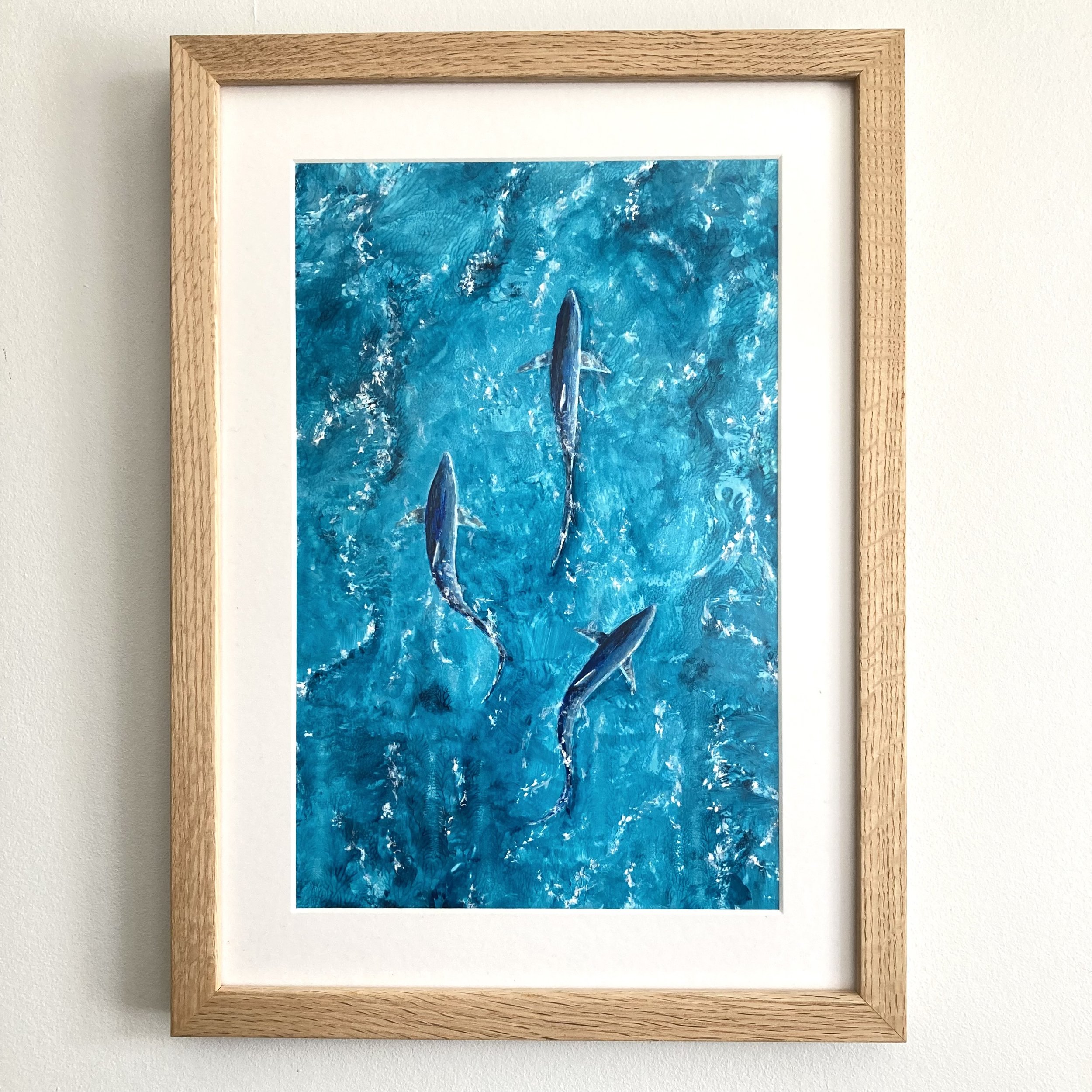 Summer Seas, Blue Sharks Framed.jpg