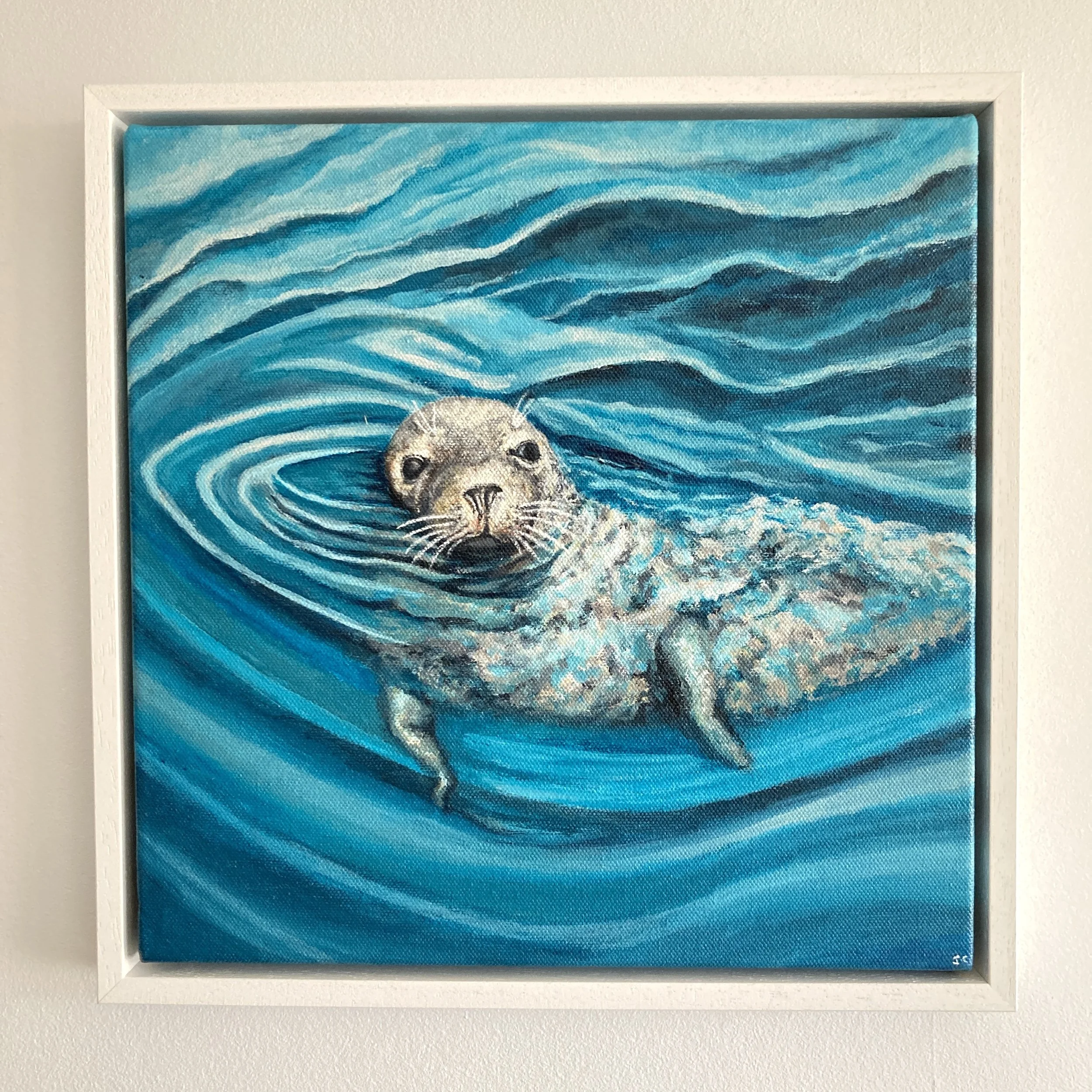Grey Seal