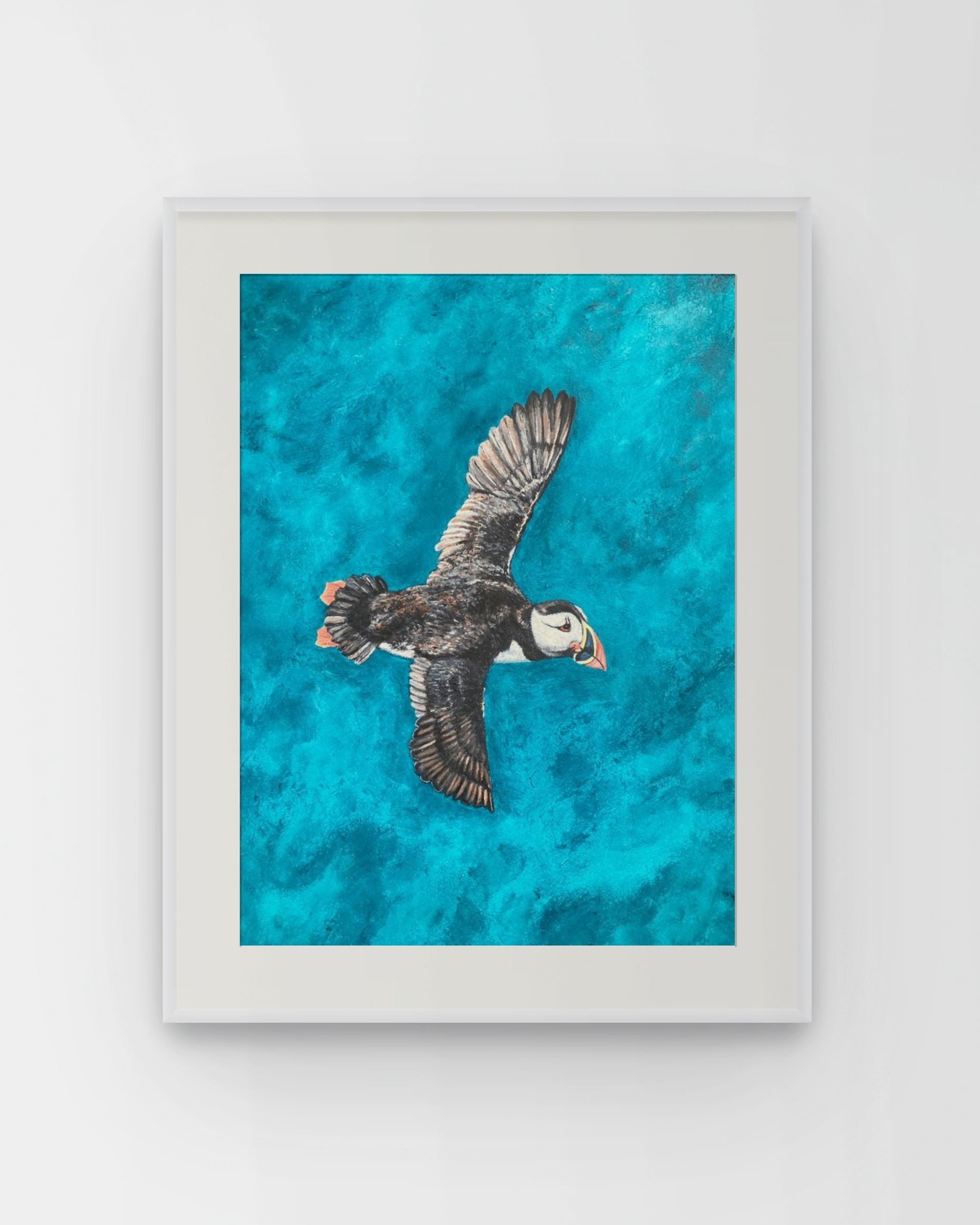 puffin-medium.jpg