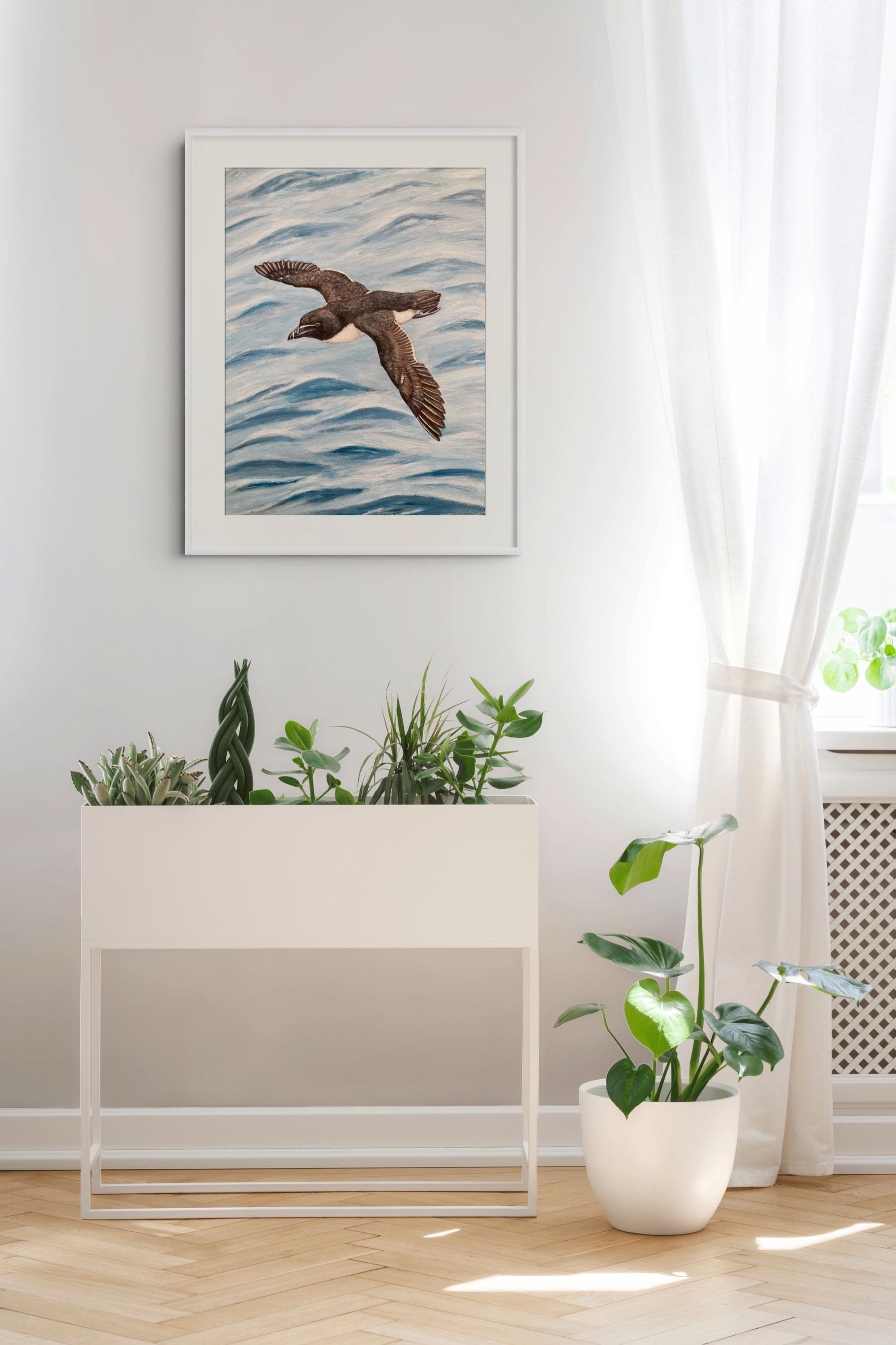 Razorbill by Joy Clifton is an original acrylic painting of a razorbill, capturing British coastal wildlife through unique aerial bird art.