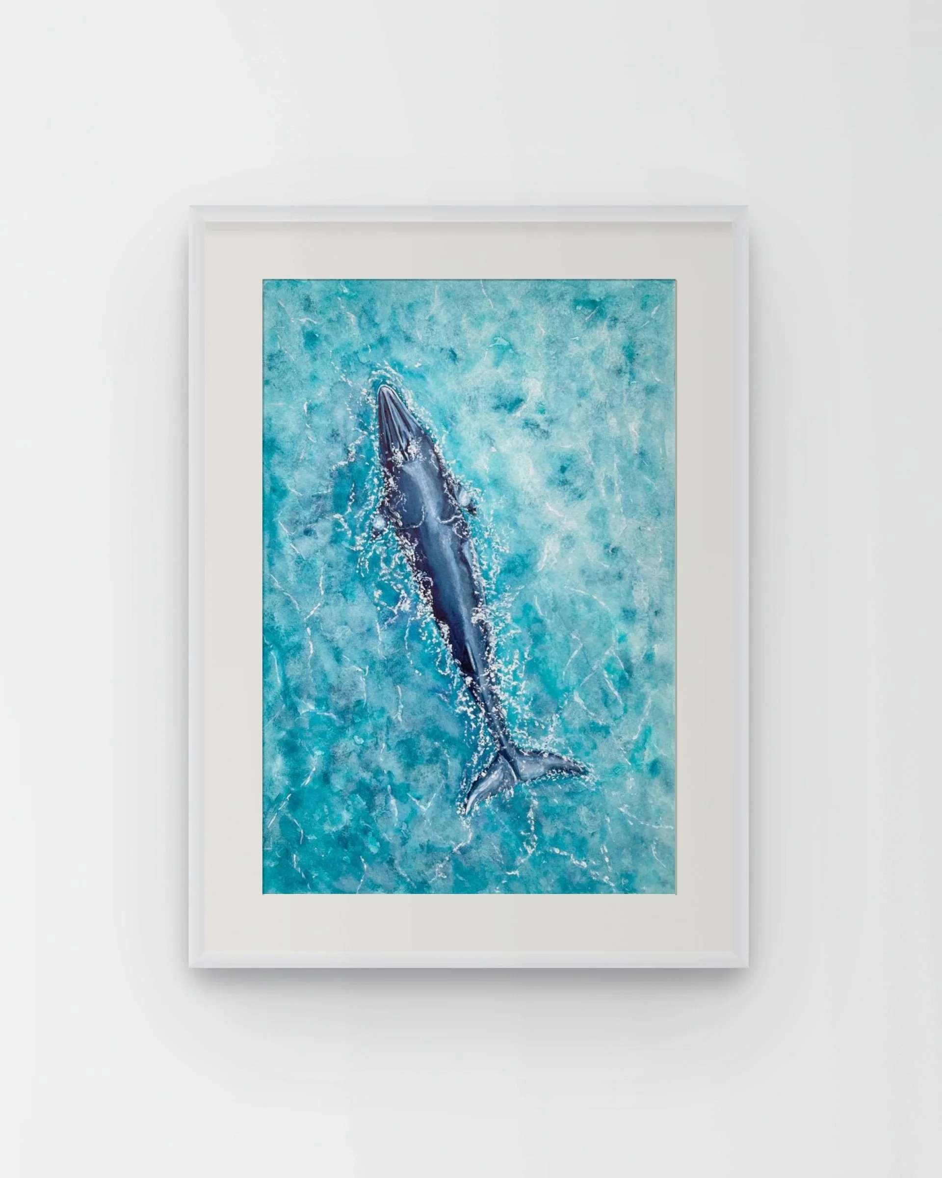 Our Shores, Minke Whale by Joy Clifton, Whale Painting, Watercolour, Aerial Seascape Art, Ocean Art