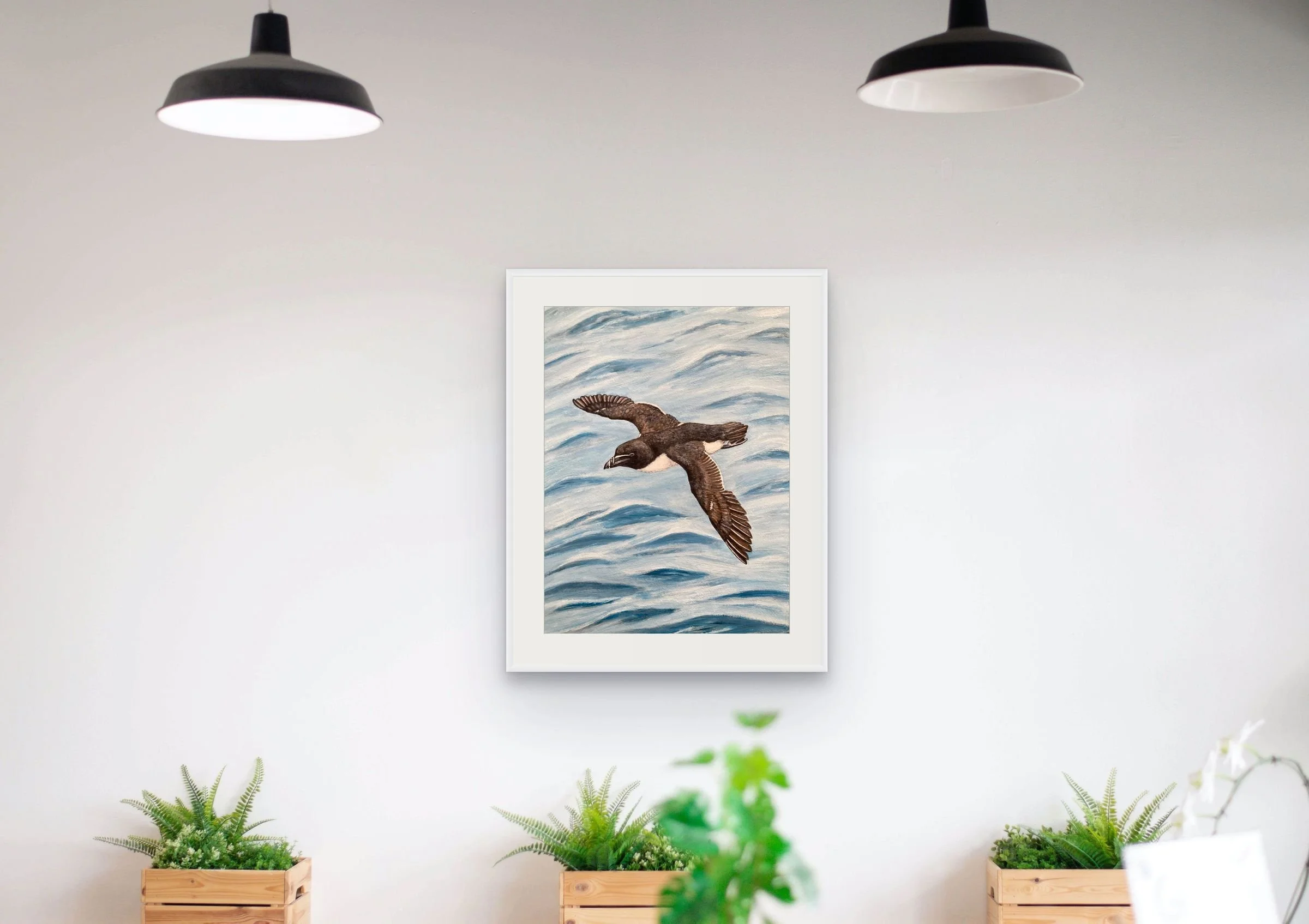 Razorbill by Joy Clifton is an original acrylic painting of a razorbill, capturing British coastal wildlife through unique aerial bird art.