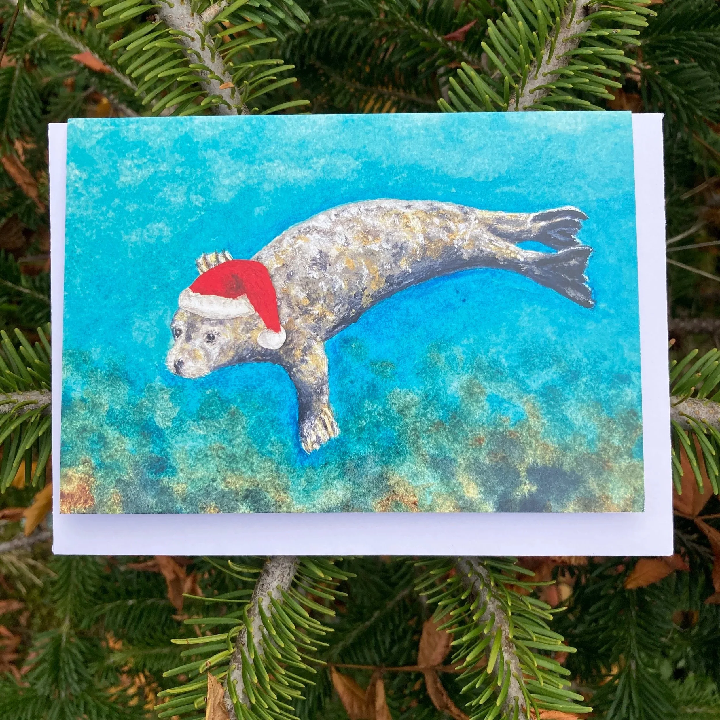 Grey Seal Christmas Card, Art Christmas Card, Marine Wildlife Art Christmas Card