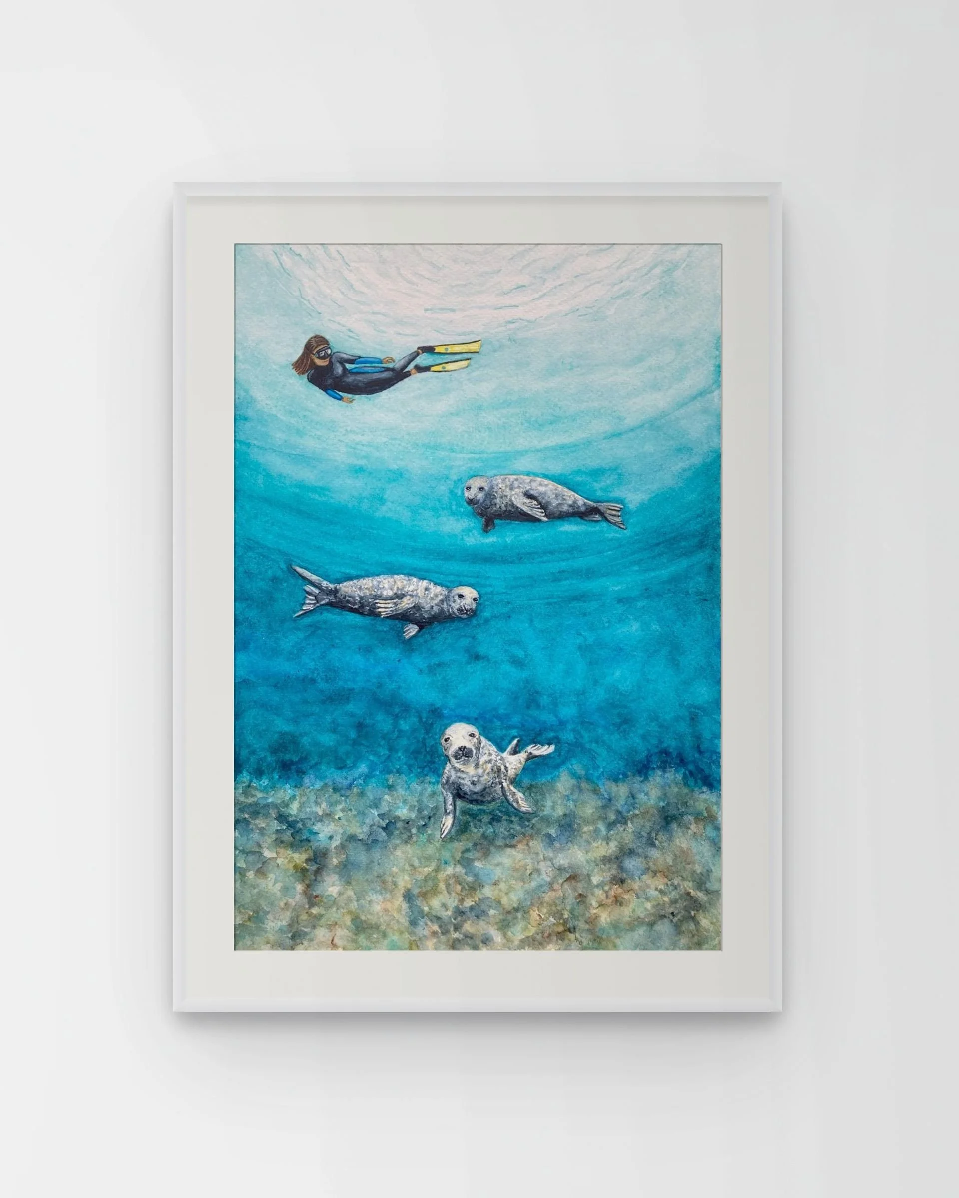Our Shores, Grey Seals by Joy Clifton, Seal Painting, Ocean Art, Diving Art, Snorkelling, Seascape
