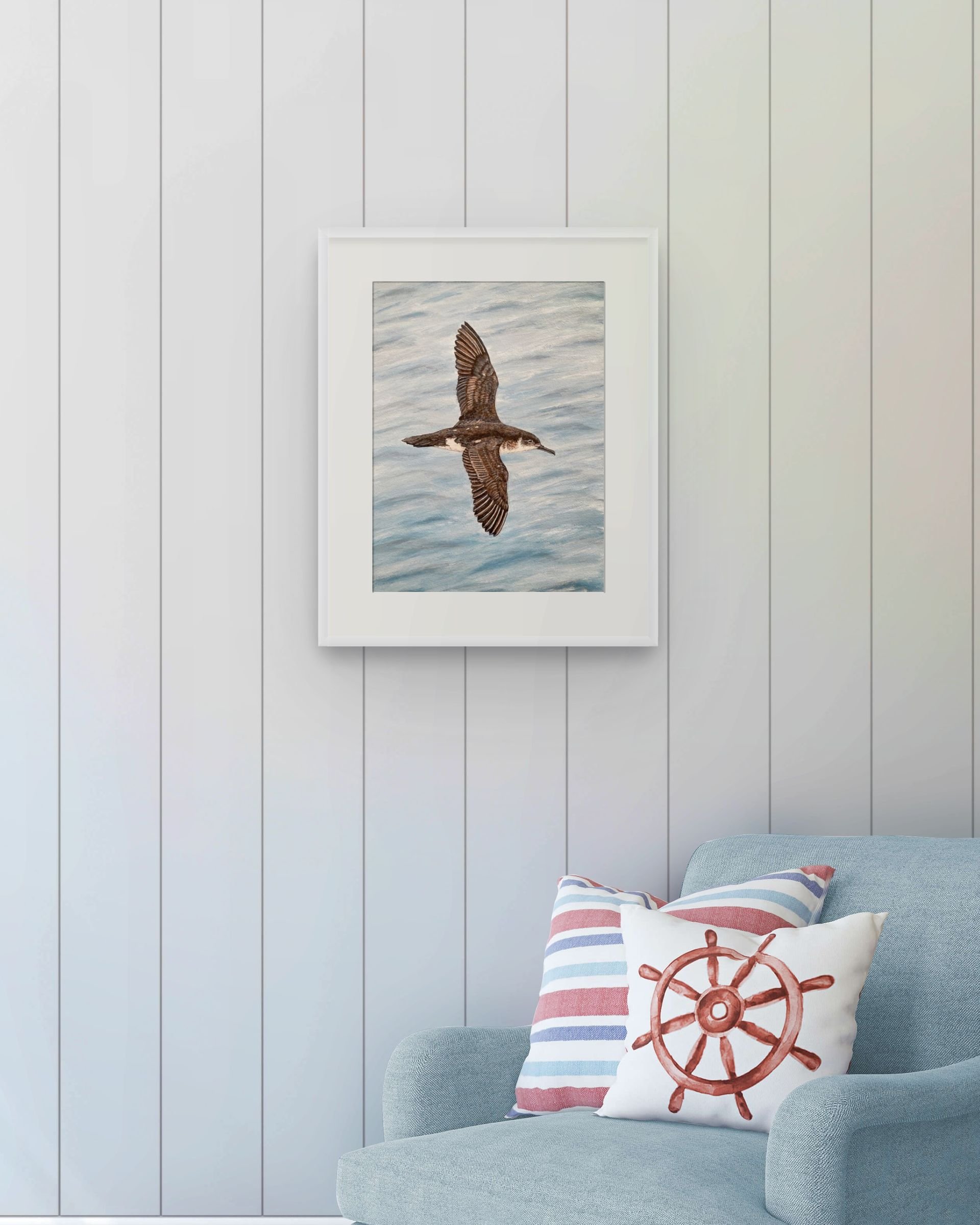 Manx Shearwater by Joy Clifton is an original acrylic seabird painting, capturing British coastal wildlife from an aerial perspective. Beautiful framed wildlife art.