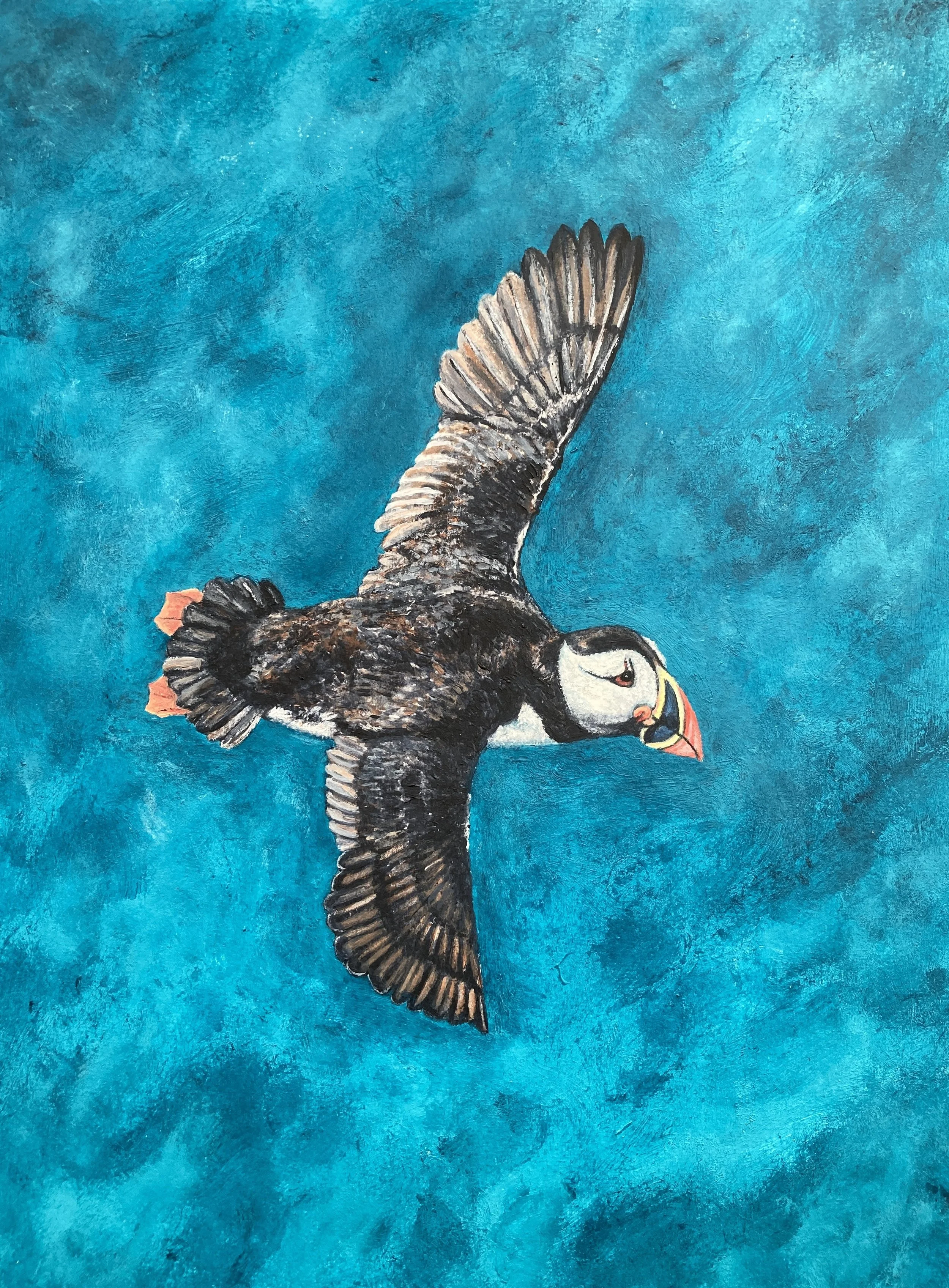 Puffin by Joy Clifton is an original acrylic puffin painting, capturing British coastal wildlife from a unique aerial perspective. Framed seabird art.