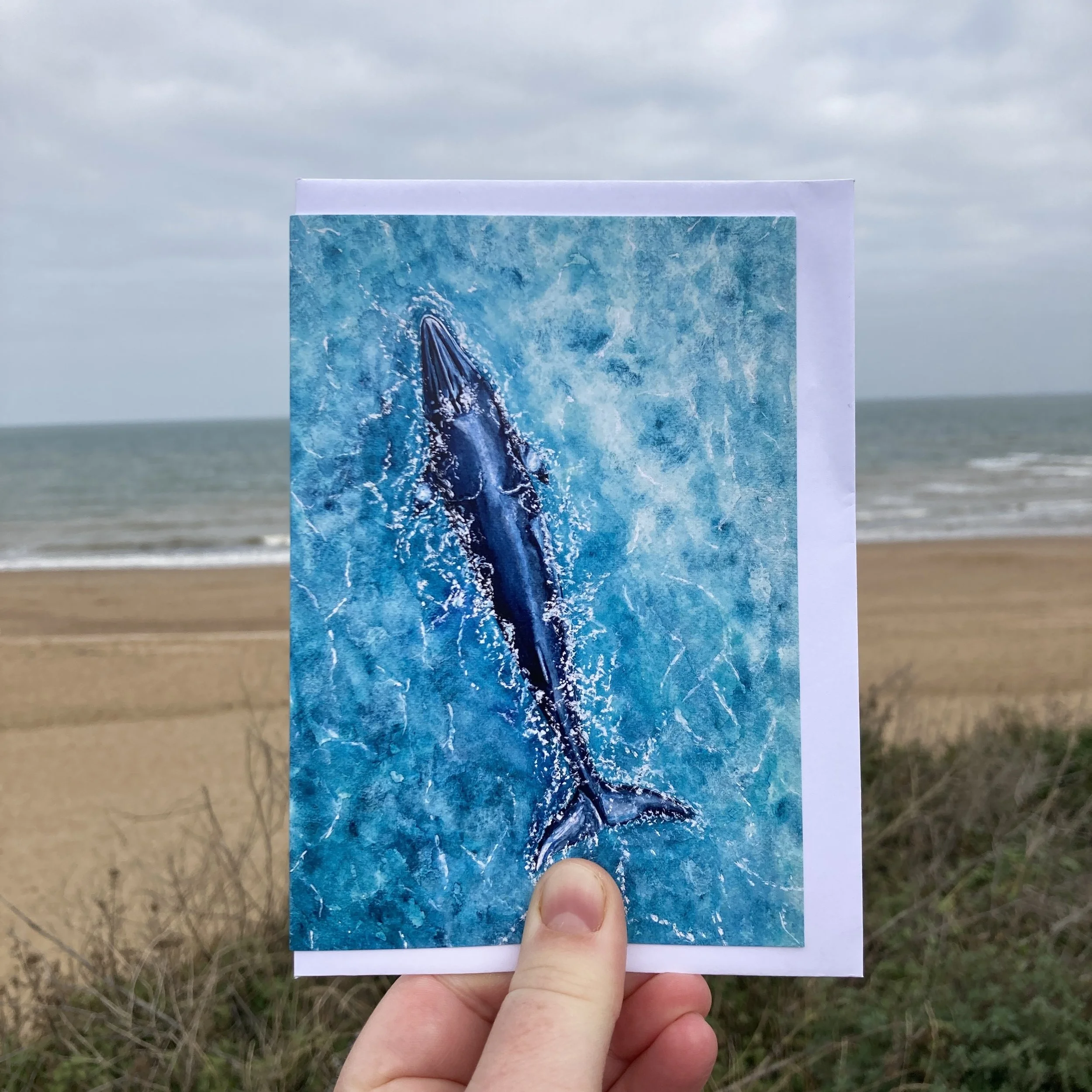 Our Shores, Minke Whale Greetings Card, Birthday Card, Thank you card, Whale Card, Ocean Card