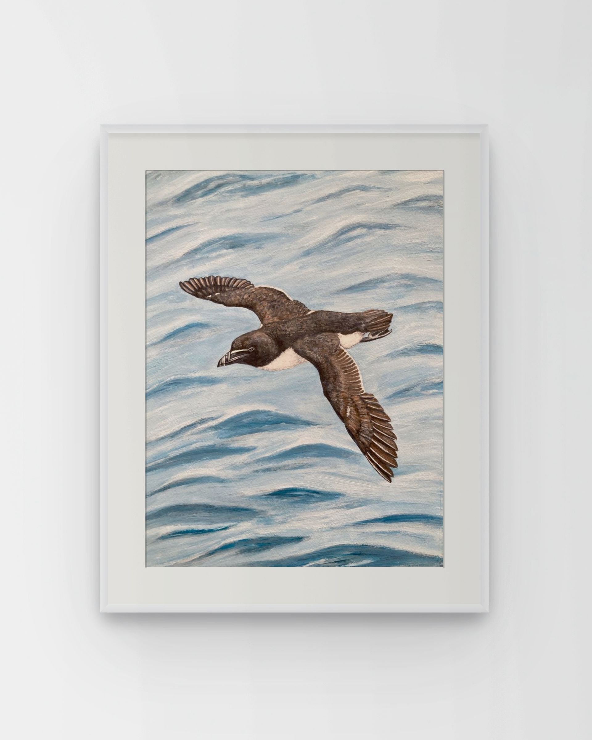 Razorbill by Joy Clifton is an original acrylic painting of a razorbill, capturing British coastal wildlife through unique aerial bird art.