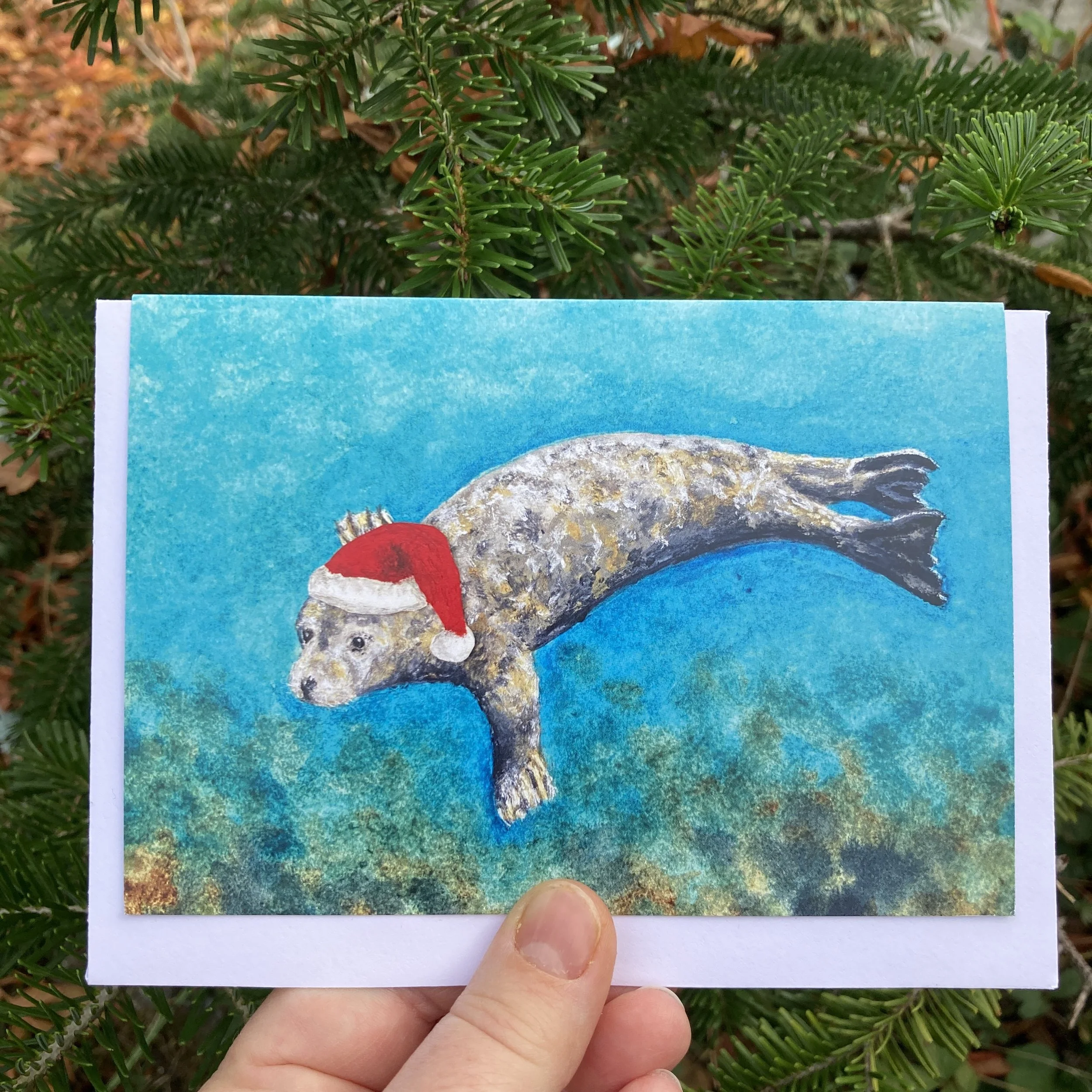 Grey Seal Christmas Card, Art Christmas Card, Marine Wildlife Art Christmas Card