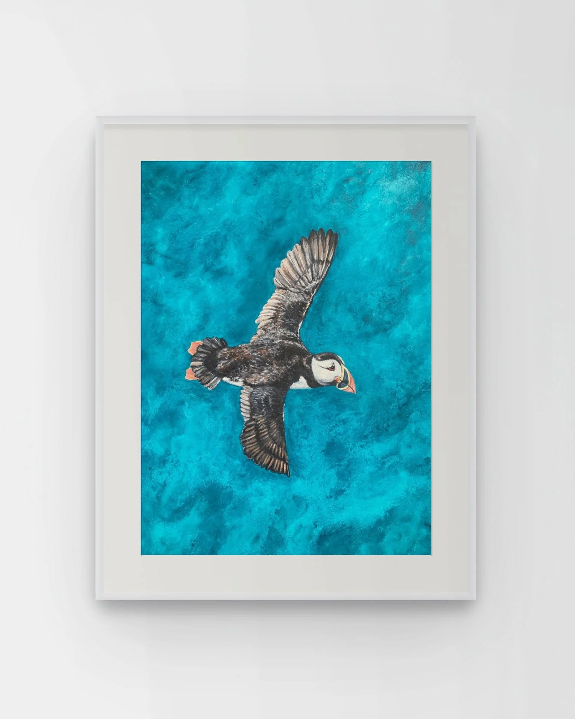 Puffin by Joy Clifton is an original acrylic puffin painting, capturing British coastal wildlife from a unique aerial perspective. Framed seabird art.