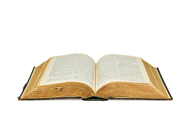 Bible Basics