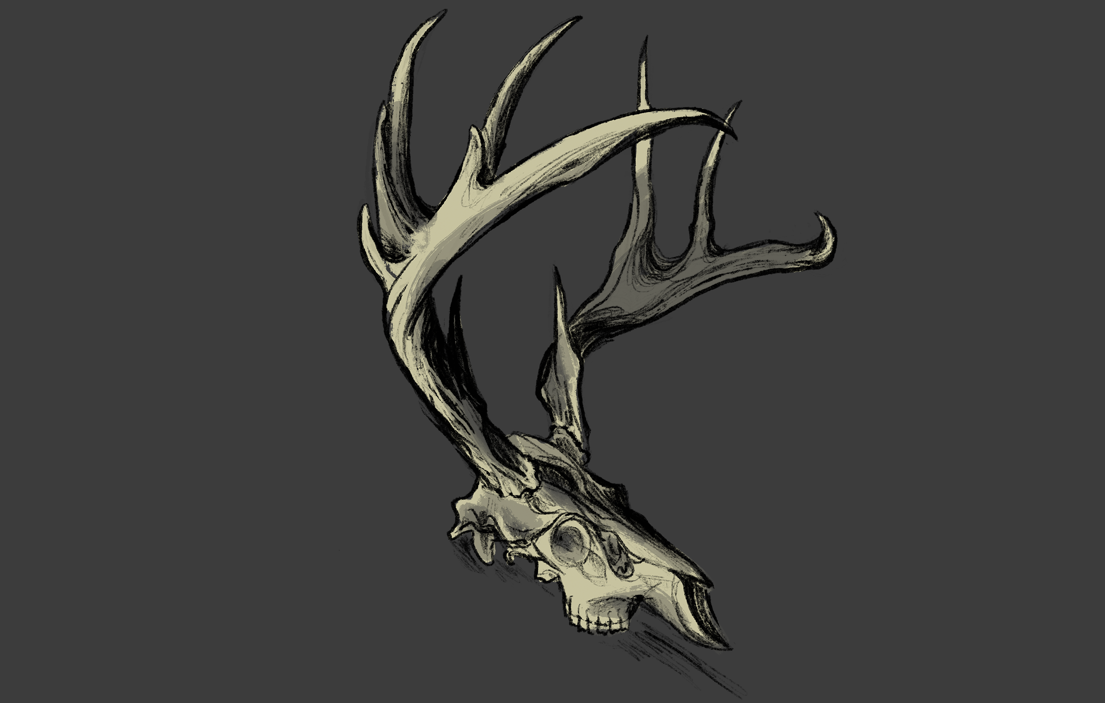 Gallery Direct Impulse Design