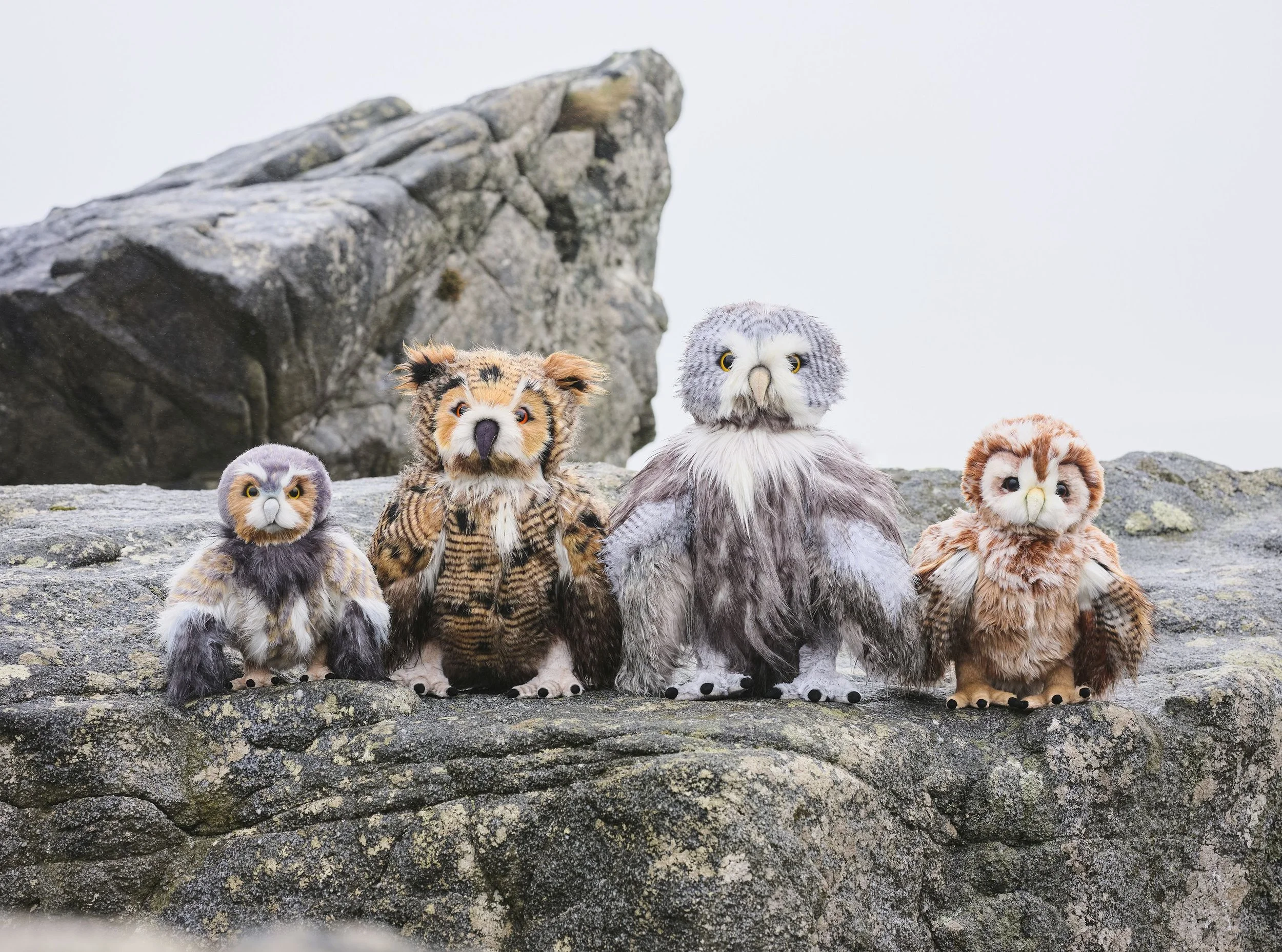 Charlie Bears Plush Collection 2026 - Owls.jpg