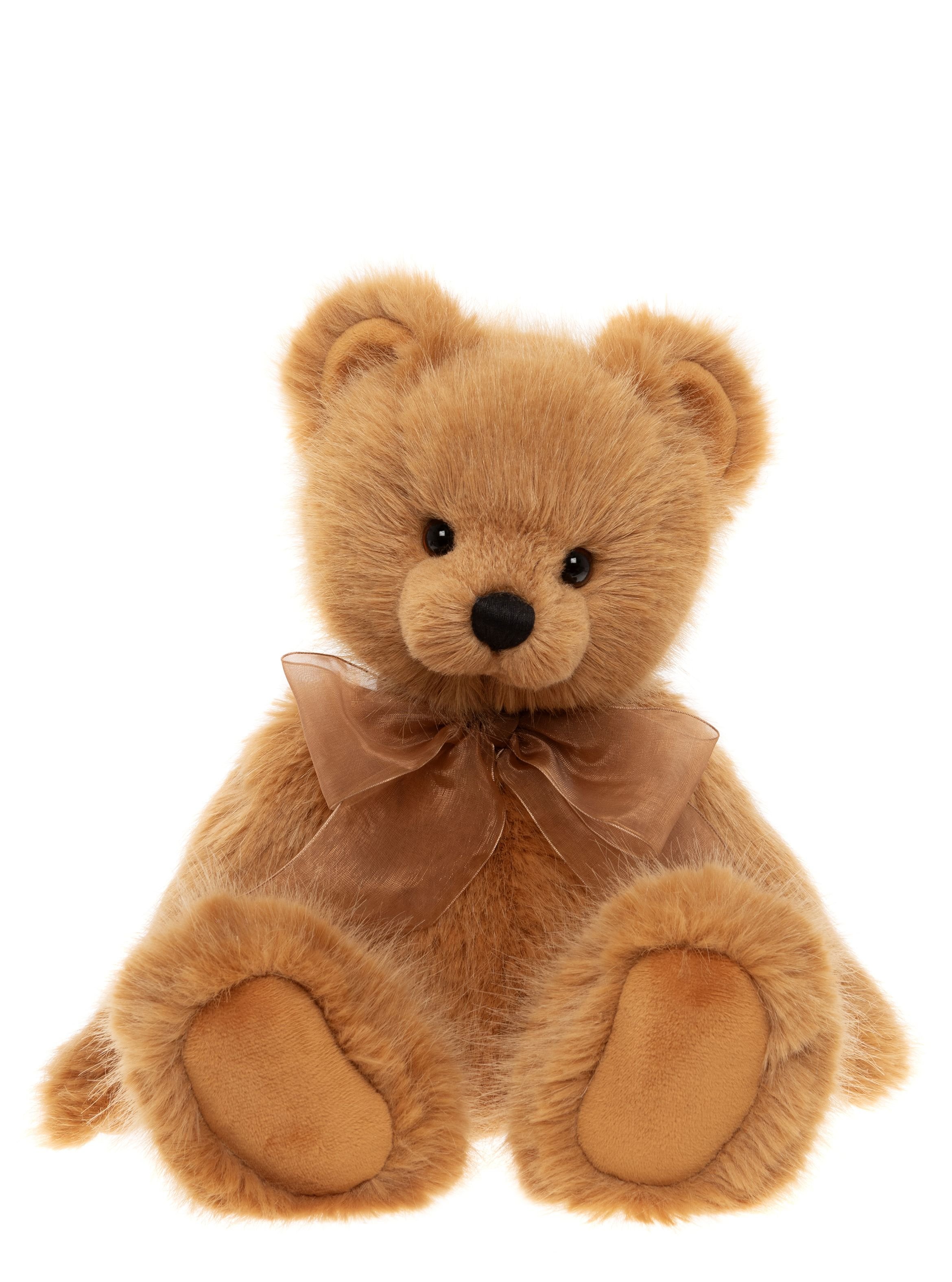 Acer 2026 Preorder Bear