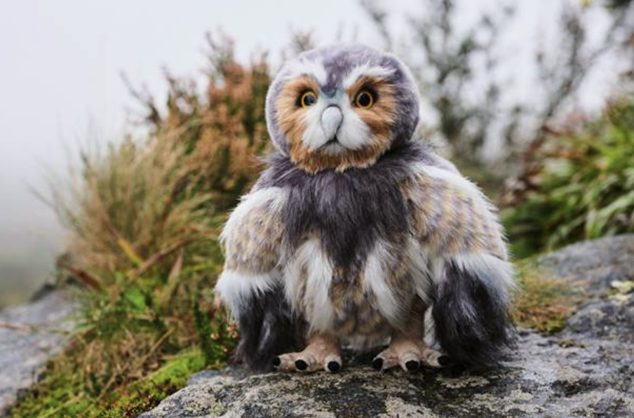 Screenshot 2026-02-27 at 11.22.42 am.png