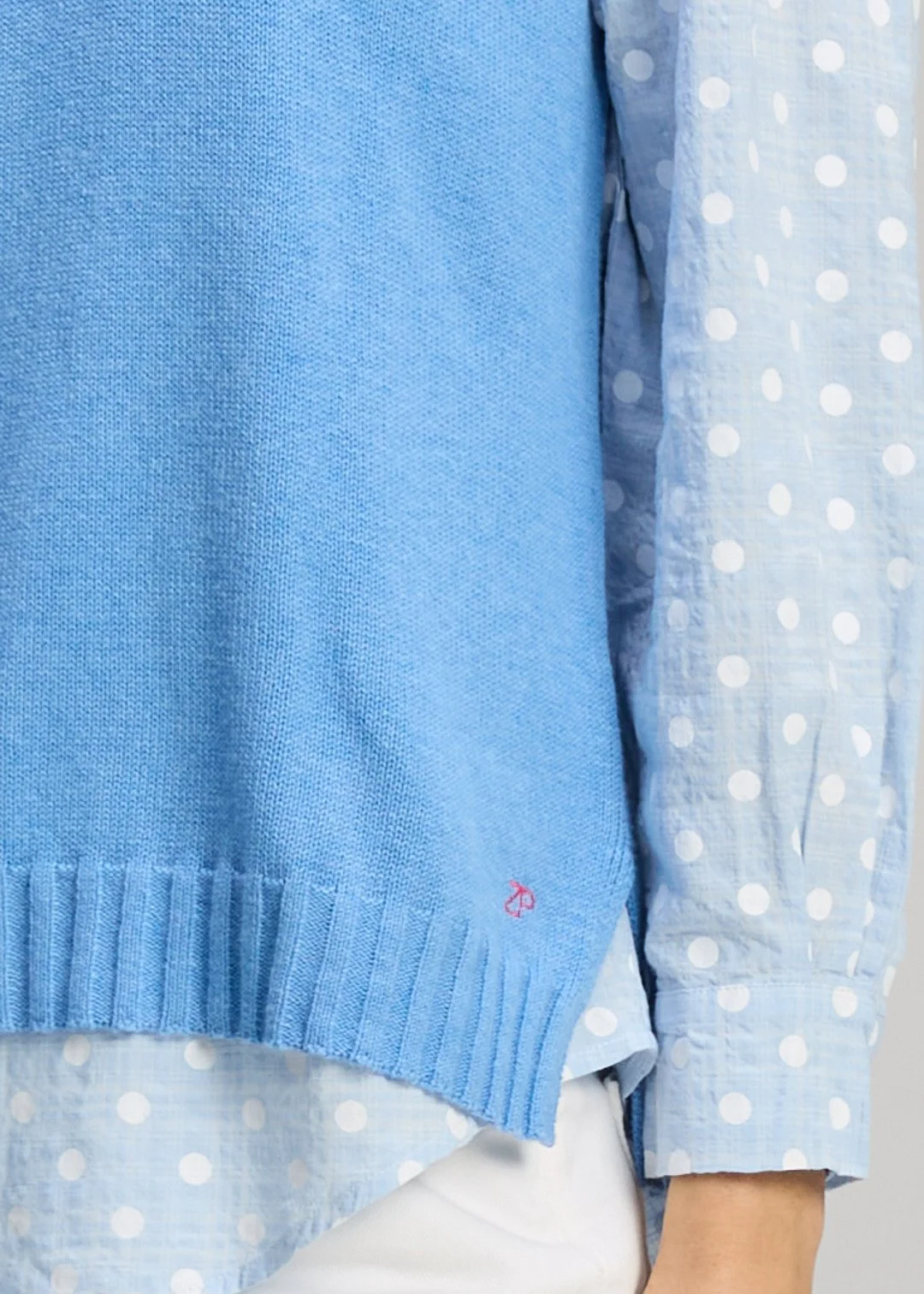 ZP8152 BLUEBERRY 5.jpg