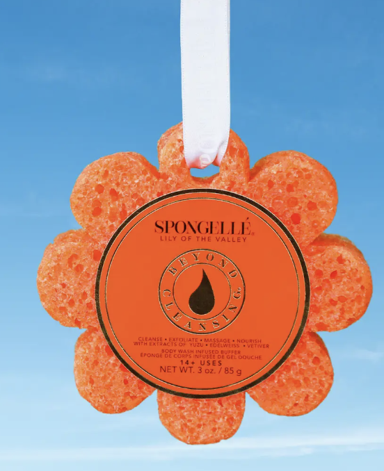 Screenshot 2026-01-27 at 10.09.09 am.png