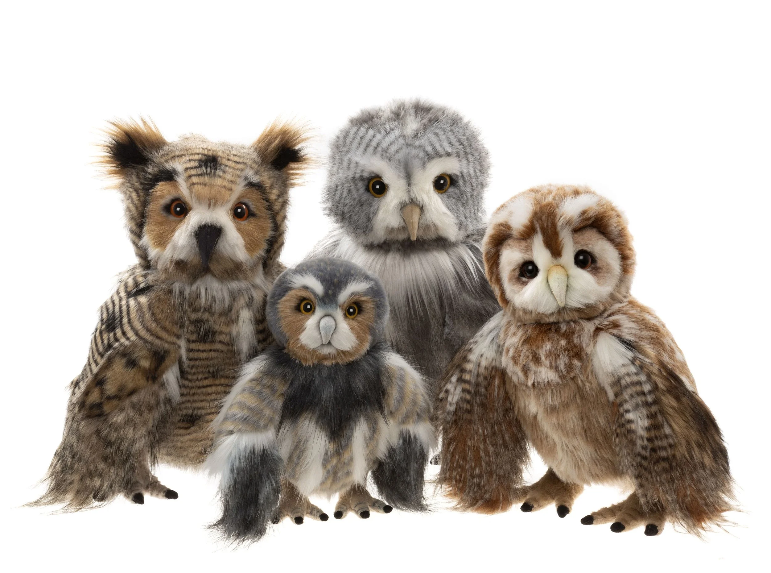 Owl-Group.jpg