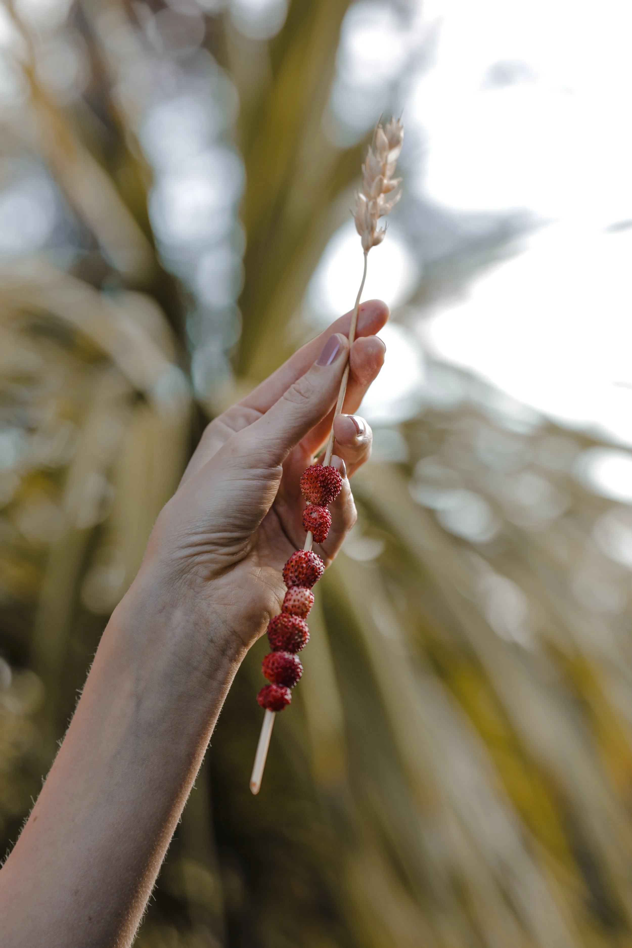 05-19-2023-Puuro- (273).jpg