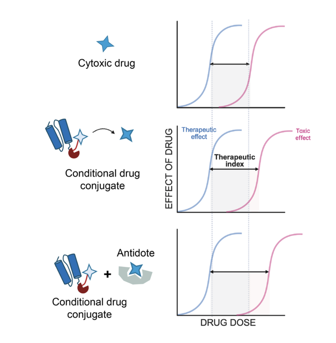 Microbial-inspired antidotes to repurpose toxic compounds as antibiotics