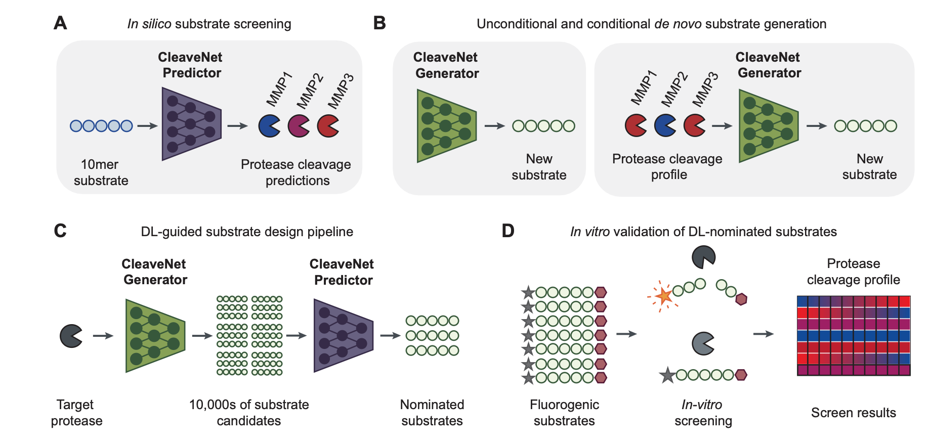 Deep learning guided design of protease substrates