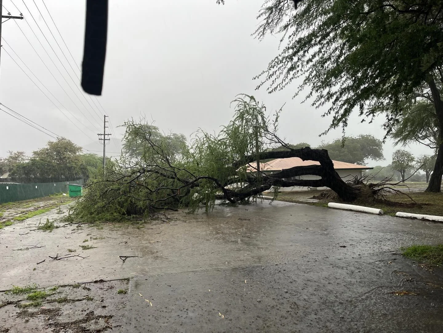 Who says we don&rsquo;t have winter weather in Hawaii?! It may not snow on Oahu but our winter months can be some of the wettest and windiest months of the year! This winter we&rsquo;ve have multiple large trees fall, our tent canopy blew off, and gr