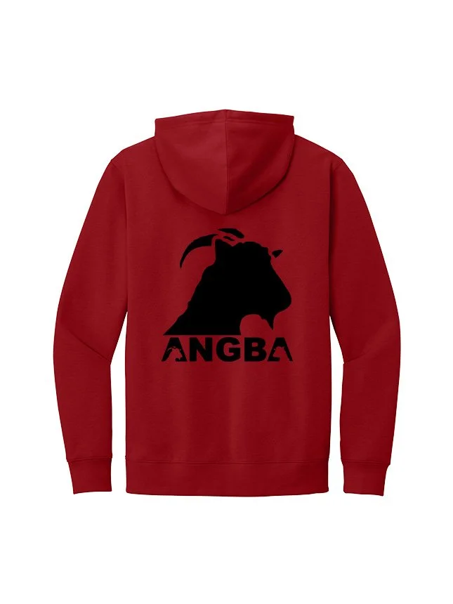 Hoodies DT6100_Classic Red_Flat_Back Black.jpg