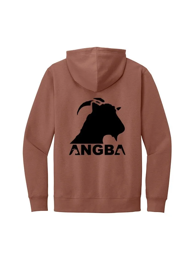 Hoodies DT6100_Desert Rose_Flat_Back Black.jpg