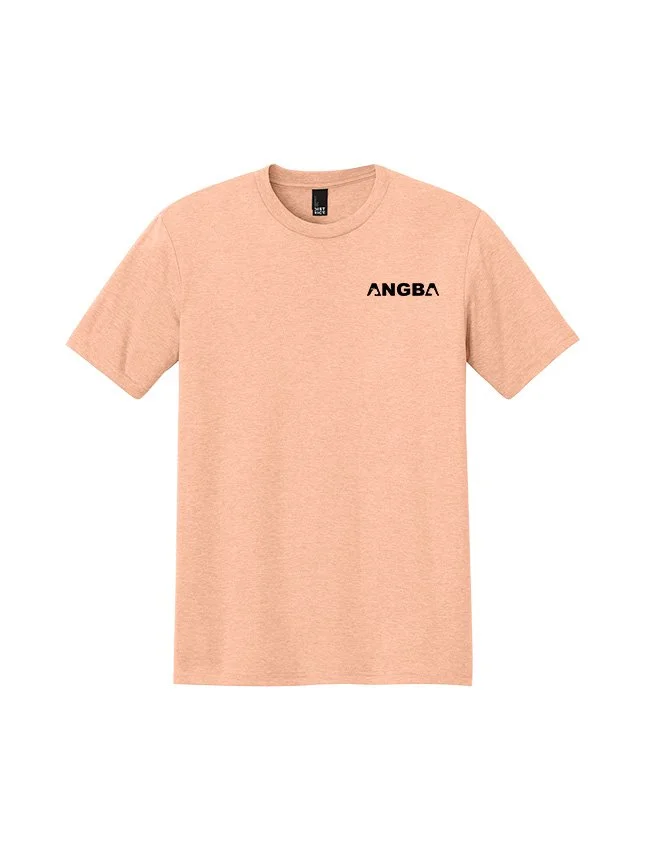 Tees DM130_Heathered Dusty Peach_Flat_Front Black.jpg