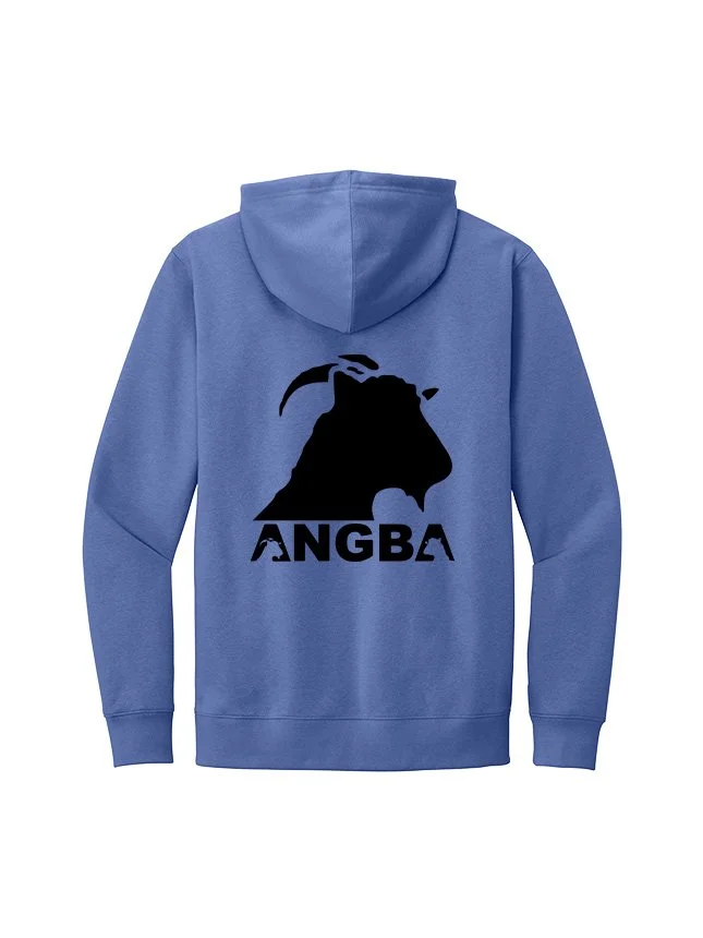 Hoodies DT6100_Electric Purple_Flat_Back Black.jpg