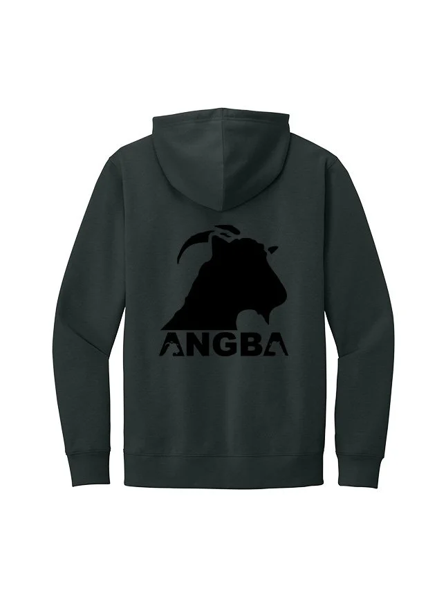 Hoodies DT6100_charcoal_flat_back Black.jpg