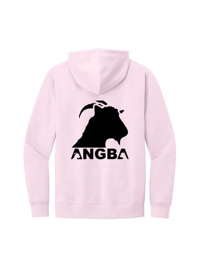 Hoodies DT6100_Carnation Pink_Flat_Back Black.jpg
