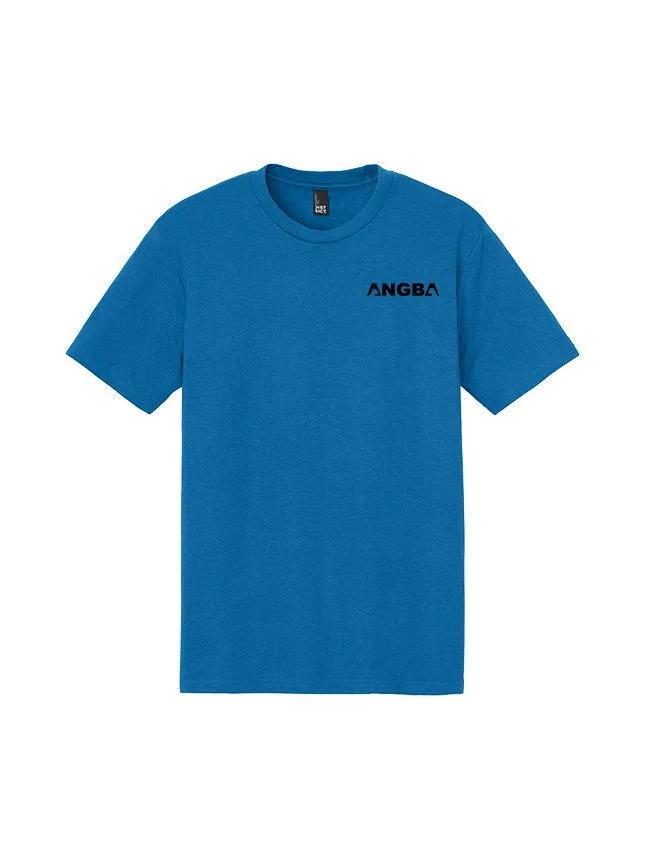 Tees DM130_Bright Blue_Flat_Front Black.jpg