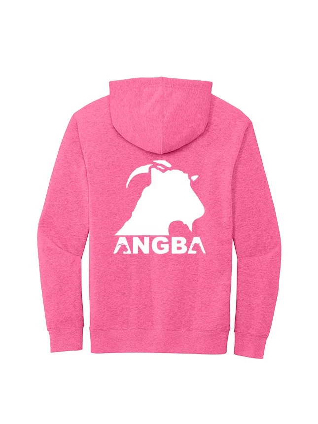 Hoodies DT6100_Awareness Pink Heather_Flat_Back White.jpg