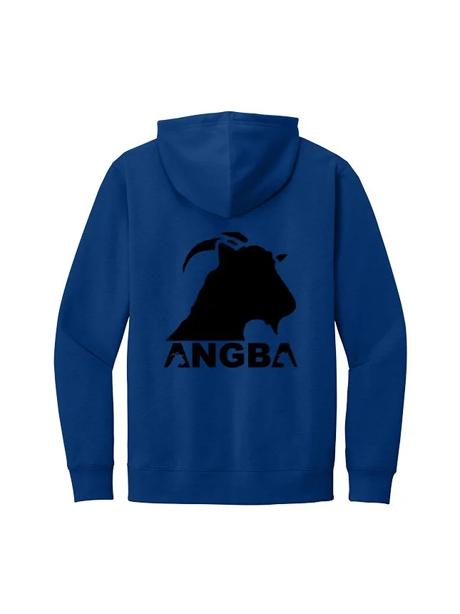 Hoodies DT6100_Deep Royal_Flat_Back Black.jpg