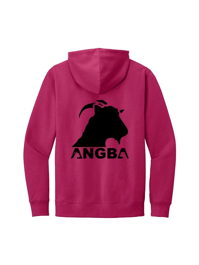 Hoodies DT6100_Dark Fuchsia_Flat_Back Black.jpg
