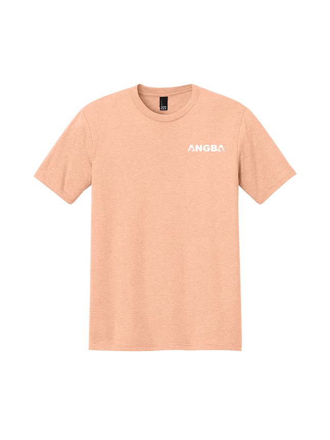 Tees DM130_Heathered Dusty Peach_Flat_Front White.jpg