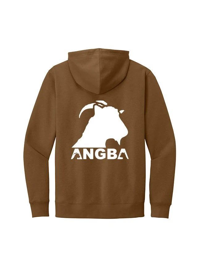 Hoodies DT6100_Duck Brown_Flat_Back White.jpg