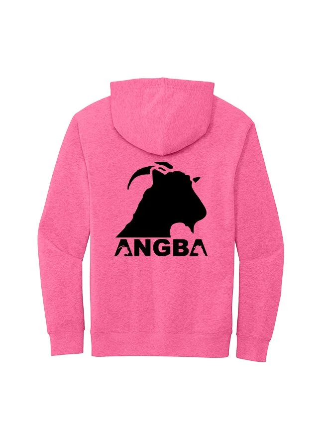 Hoodies DT6100_Awareness Pink Heather_Flat_Back Black.jpg