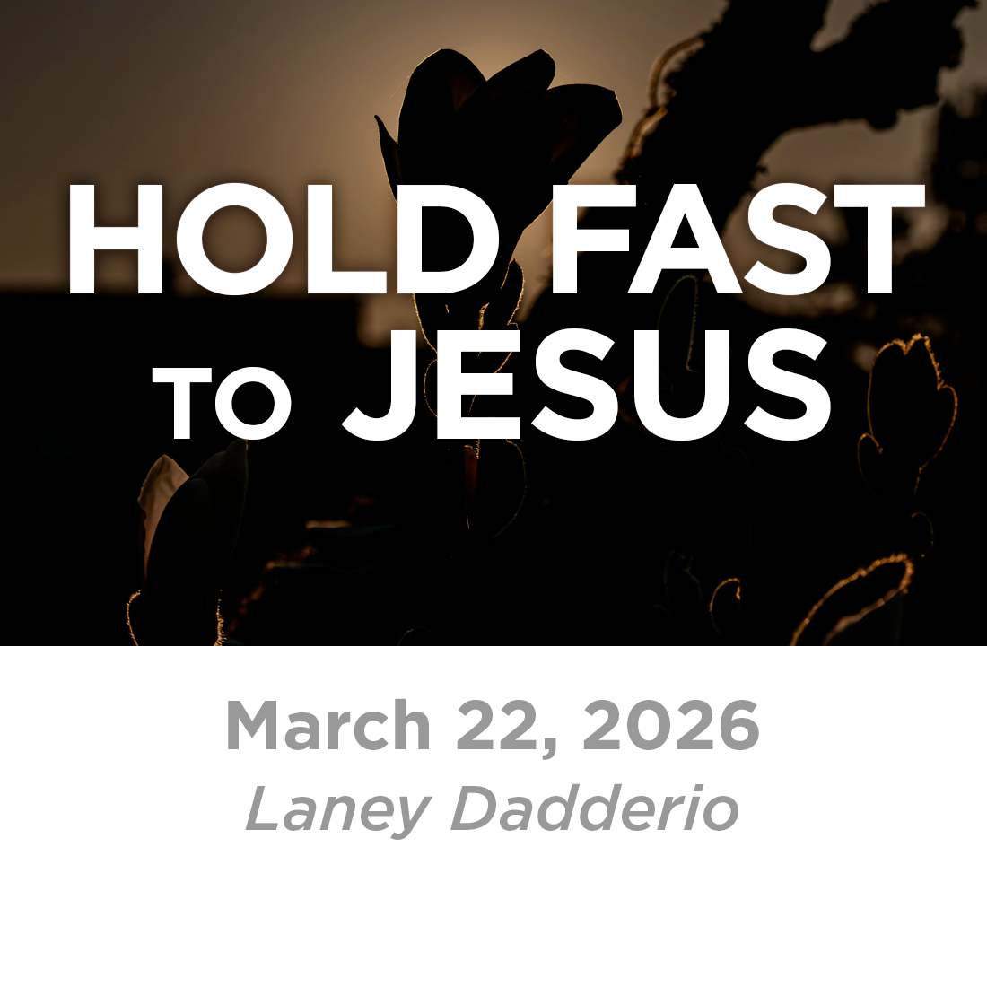 Hold Fast to Jesus (Laney Dadderio)  3-22-26