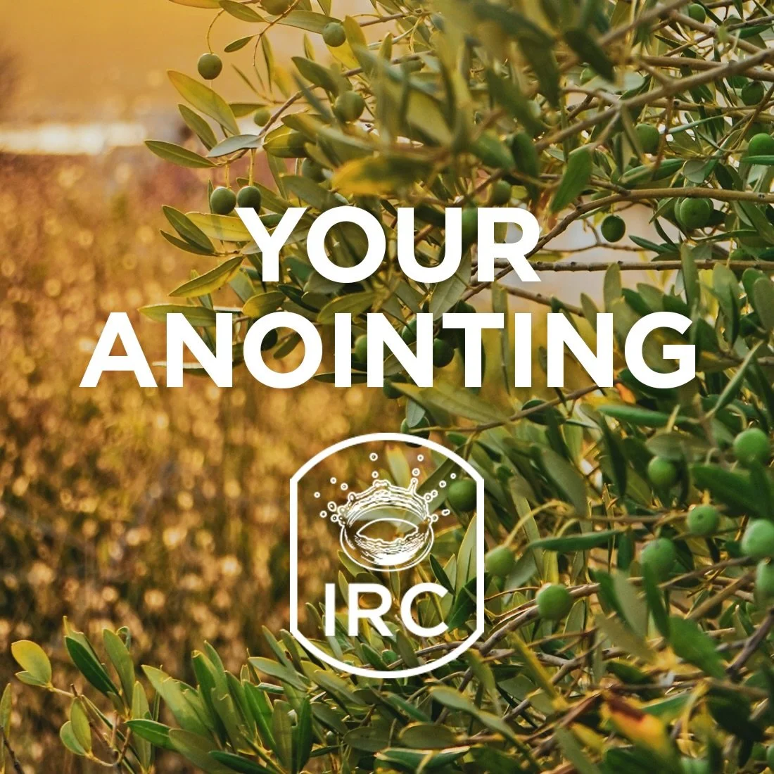 Pastor John is bringing a great message on your anointing. Don&rsquo;t miss out on what God has for you @impactrock. Service starts @ 10 AM 

#jesus #godsplan #erie #sunday #anointed