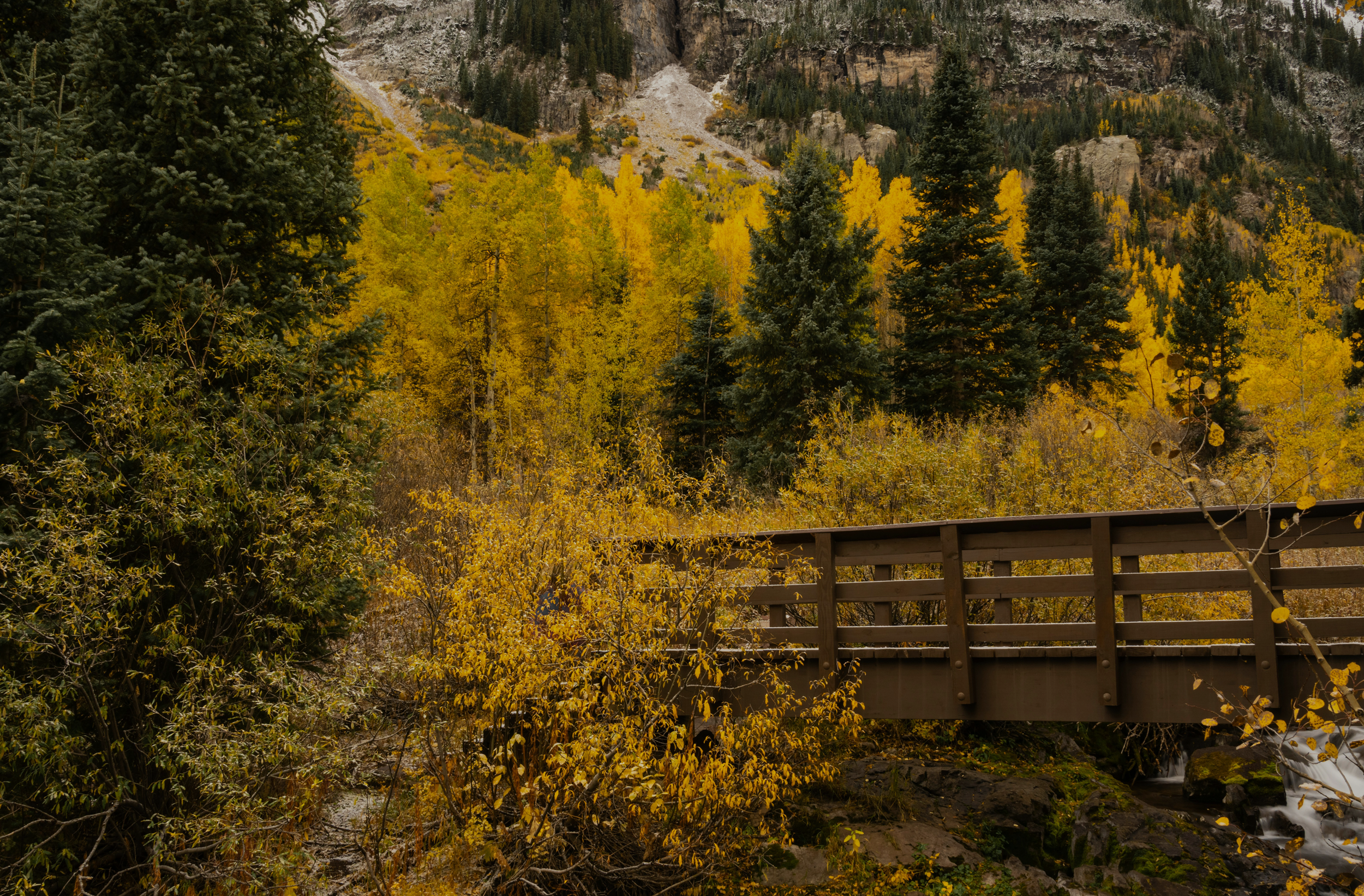 hero_image_2026_fall4.png