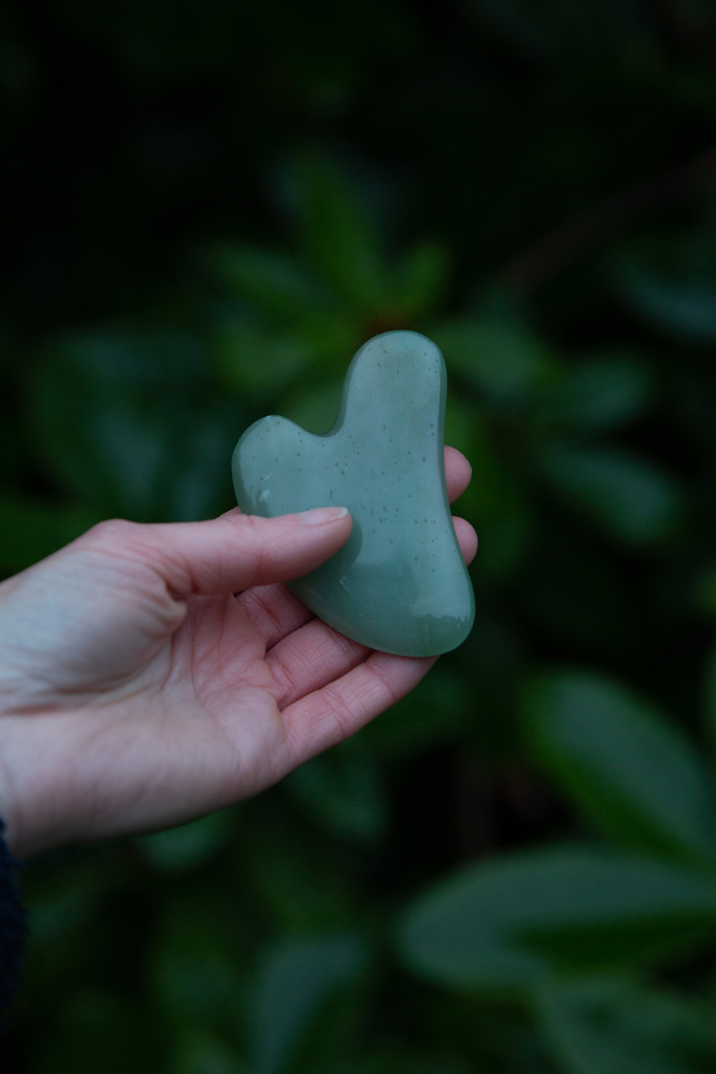Gua Sha Tools-8641.jpg