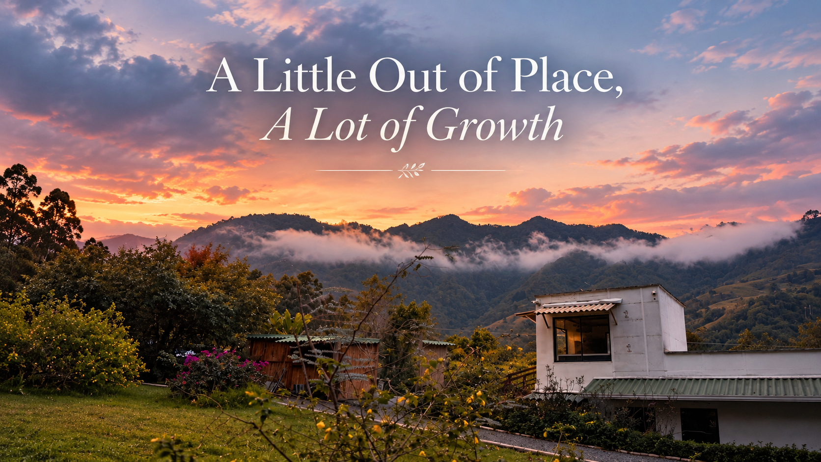 Sunday Scaries: The Beauty of Being Out of Place