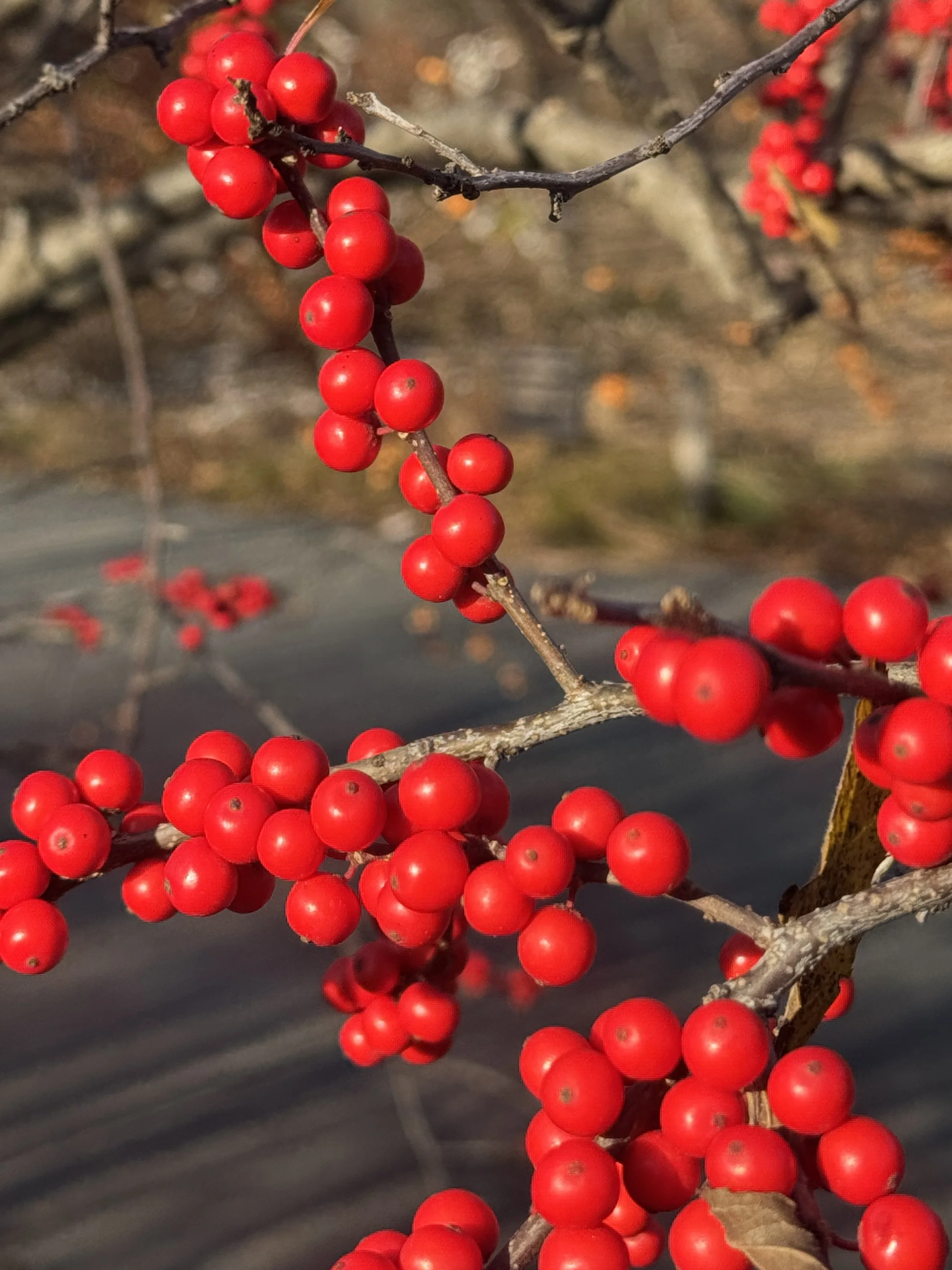 When the wave starts cresting