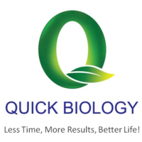 0 (1).png